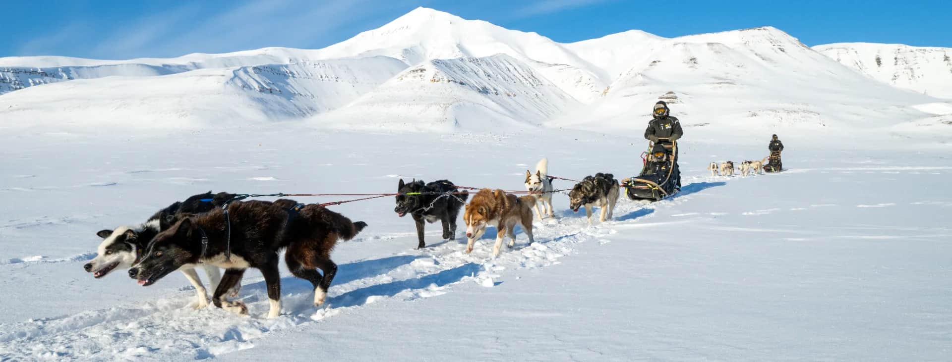 Dog sledding in Svalbard — by Rune Dahl